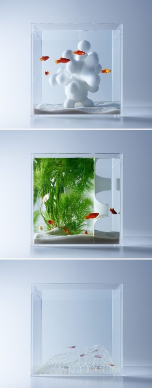 interieuradvies aquarium mooie vormen