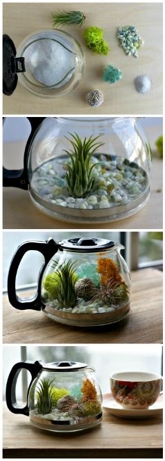 interieuradvies koffiepot aquarium